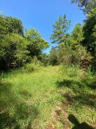 Área rural, foto 5