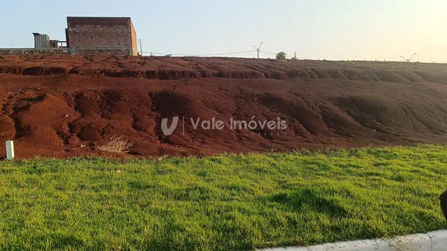 Terreno