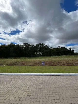Terreno, foto 12