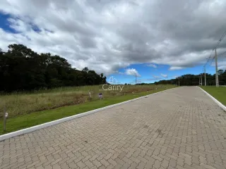 Terreno, foto 13