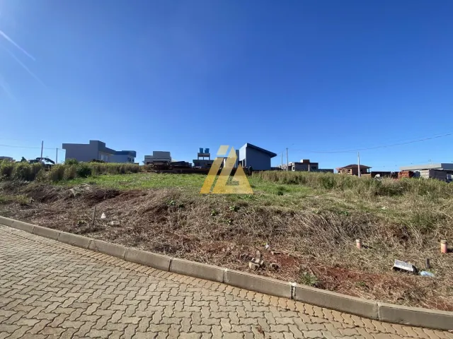 Terreno, foto 3