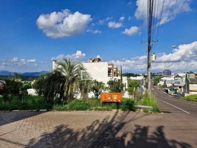 Terreno, foto 3