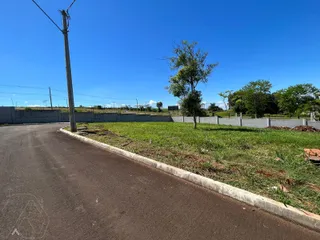 Terreno, foto 2