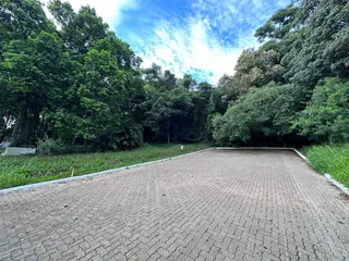 Terreno, foto 1