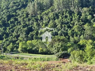 Área rural com 4 dormitórios, foto 12