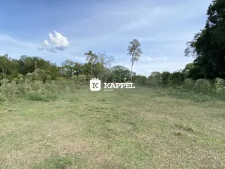 Campo aberto com vegetação e árvores em Lajeado, Brasil.