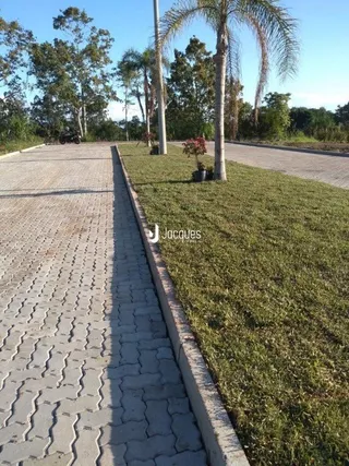 Vista externa de um jardim com caminho de tijolos e árvores