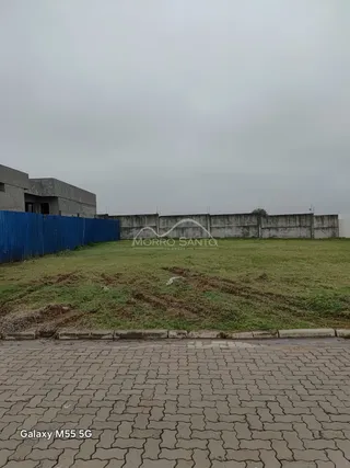 Vista externa de um terreno com grama e muro de concreto.
