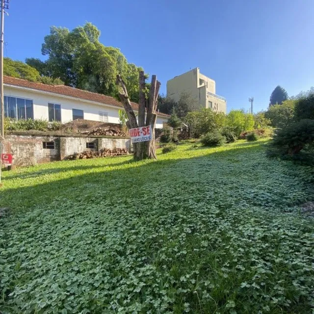 Terreno