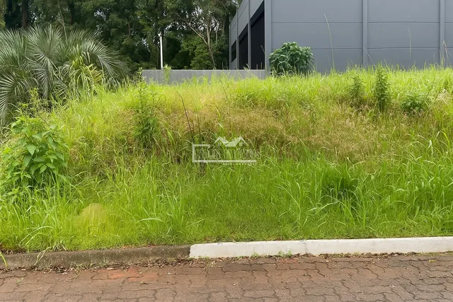 Vista externa da propriedade com grama alta e vegetação densa.