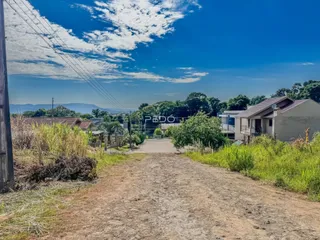 Vista de uma estrada de terra com vegetação em Lajeado, Brasil.