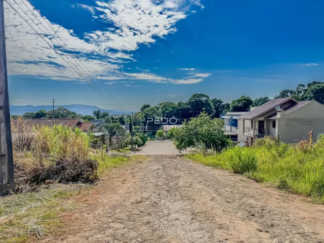 Vista de uma estrada de terra com vegetação em Lajeado, Brasil.