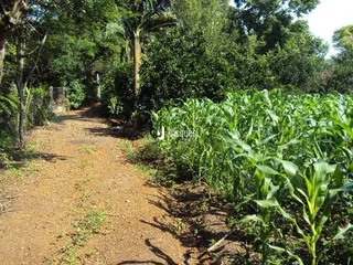 Área rural, foto 8