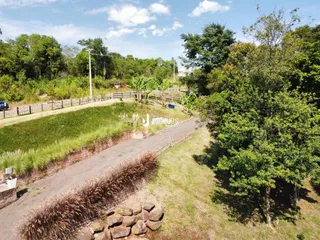 Vista externa de uma propriedade rural com vegetação densa e estrada de terra.