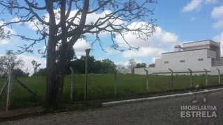 Terreno, foto 1