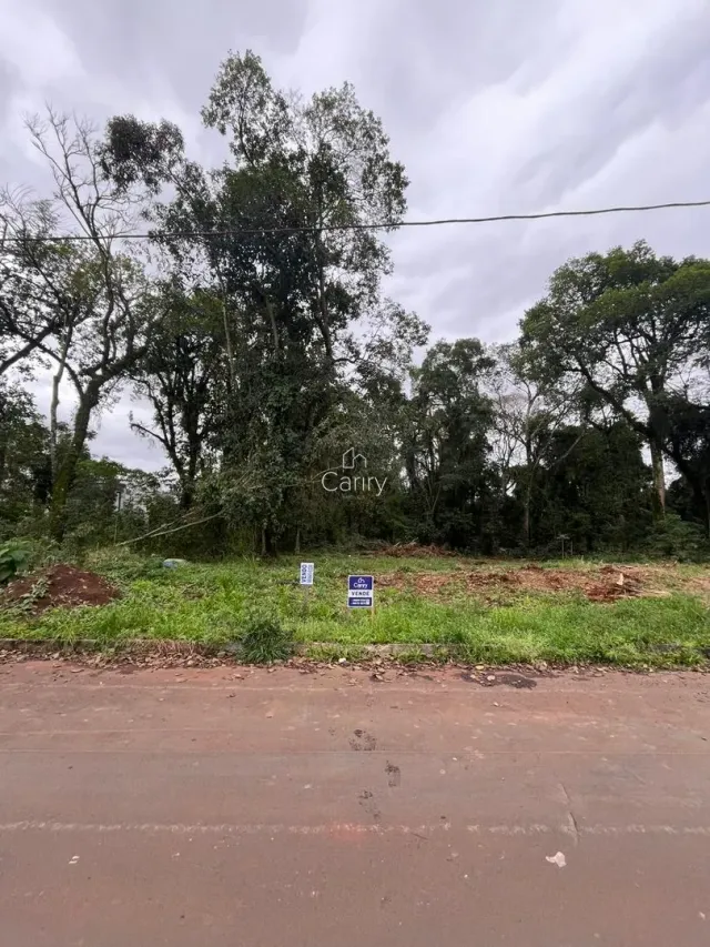 Terreno, foto 2