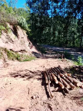 Área rural com 2 dormitórios, foto 16