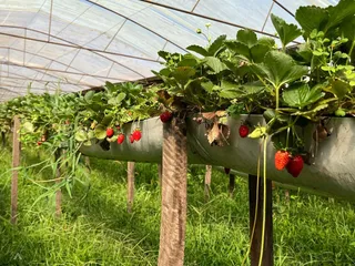 Área rural, foto 6