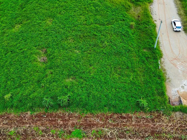 Terreno, foto 3