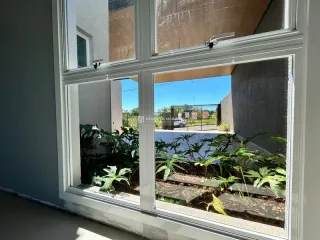 Vista de um jardim com plantas verdes através de uma janela.