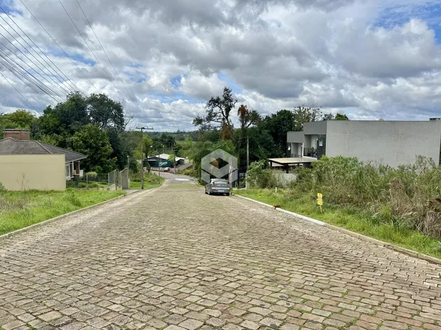 Vista da rua de paralelepípedos que leva à propriedade em Lajeado.