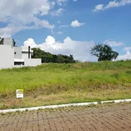 Vista externa de um terreno com grama alta e vegetação.