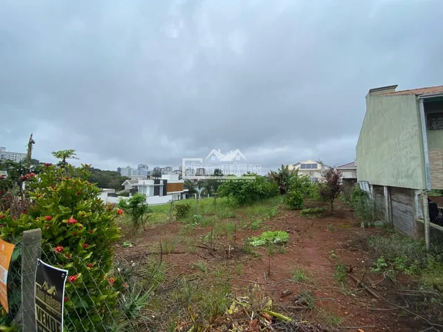 Terreno, foto 2