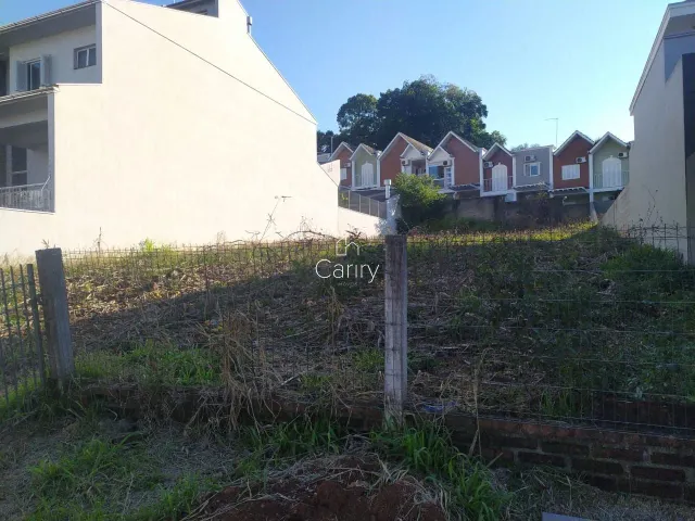 Terreno