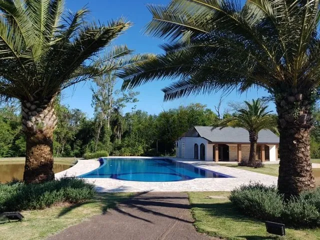 Uma foto externa mostra uma piscina cercada por palmeiras e gramado.