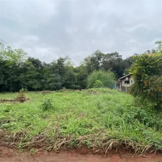 Vista externa de uma área de campo com vegetação alta e mato.