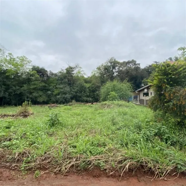 Vista externa de uma área de campo com vegetação alta e mato.