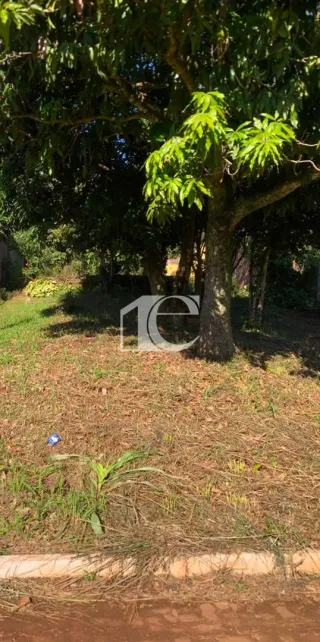 Terreno, foto 3