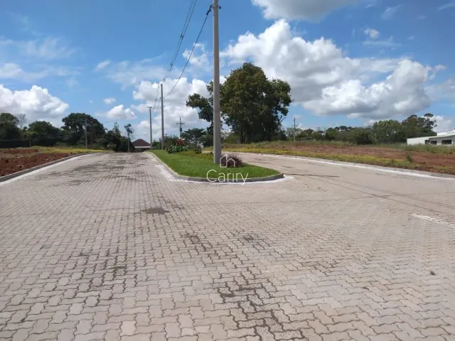 Terreno, foto 5