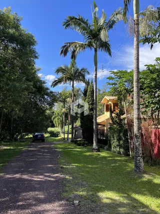 Vista de uma rua arborizada com casas ao fundo em Lajeado, Brasil.