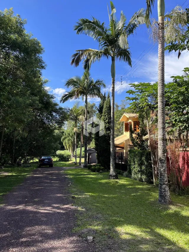 Vista de uma rua arborizada com casas ao fundo em Lajeado, Brasil.