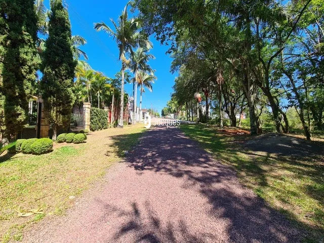 Terreno, foto 3