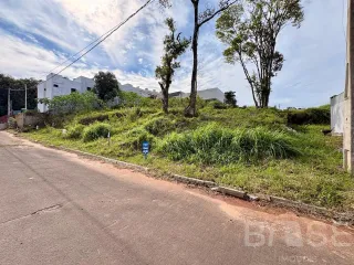 Terreno, foto 3