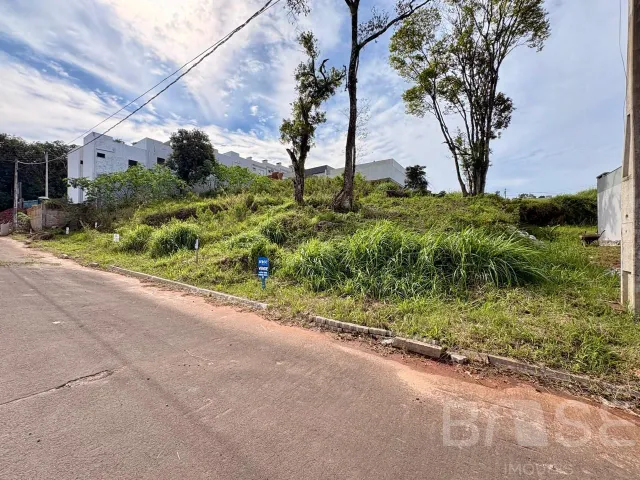 Terreno, foto 3