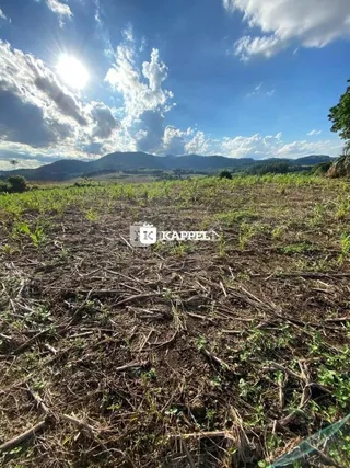 Paisagem de campo com vegetação rasteira e arbustos sob um céu azul e nublado.