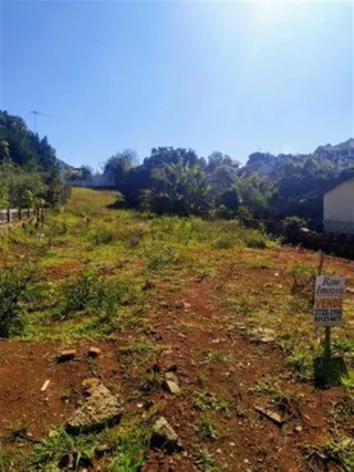 Terreno, foto 2