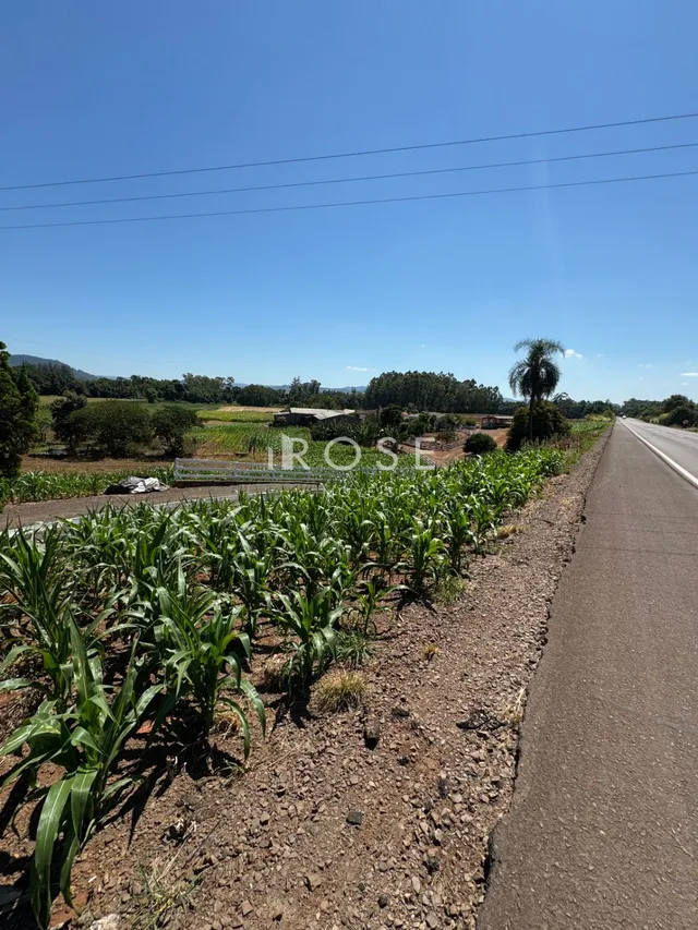 Área rural