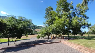 Vista externa da propriedade com árvores e muro de tijolos em um dia ensolarado.