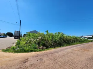 Vista de uma estrada de terra com vegetação densa ao ar livre.