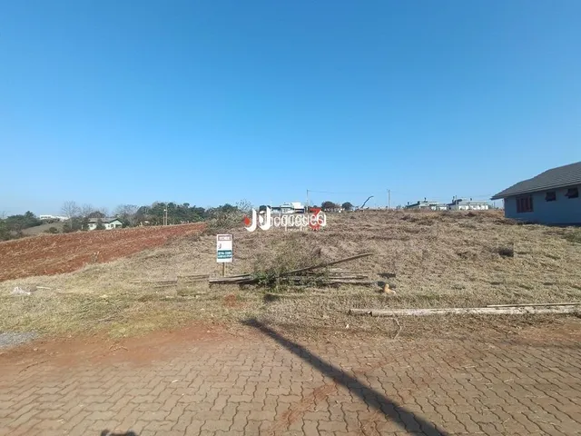 Paisagem de terra seca e vegetação no horizonte sob um céu azul.