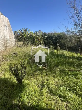 Terreno, foto 3