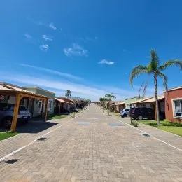 Vista da rua pavimentada em uma área residencial com palmeiras.
