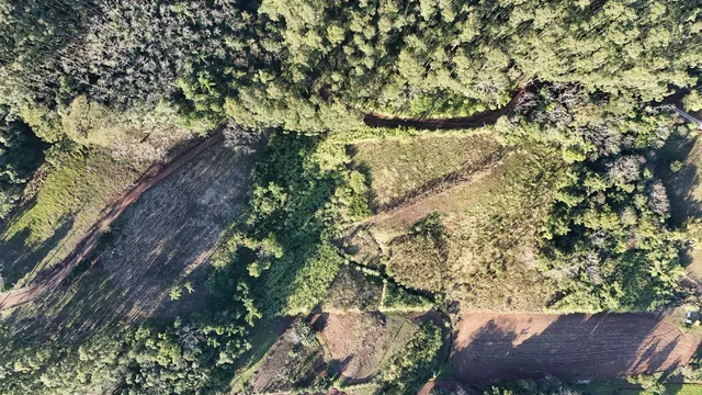 Área rural, foto 3