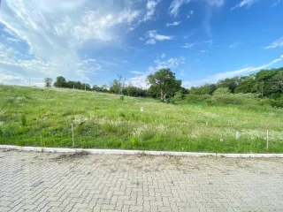 Paisagem externa de um terreno gramado com árvores ao fundo.