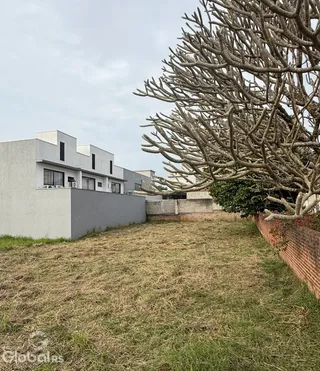Vista da fachada de uma casa em Lajeado com grande árvore no jardim.