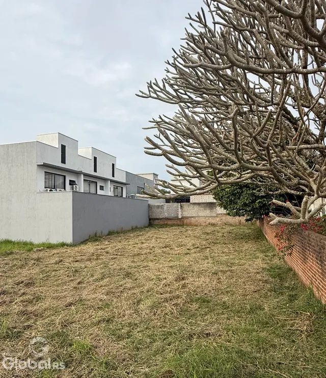 Vista da fachada de uma casa em Lajeado com grande árvore no jardim.